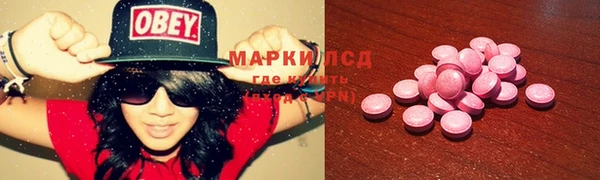 ГАЛЛЮЦИНОГЕННЫЕ ГРИБЫ Алексеевка