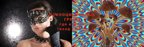 ГАЛЛЮЦИНОГЕННЫЕ ГРИБЫ Алексеевка