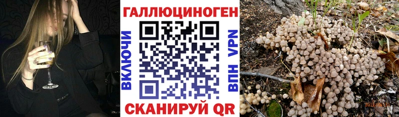 Псилоцибиновые грибы GOLDEN TEACHER  Орёл 